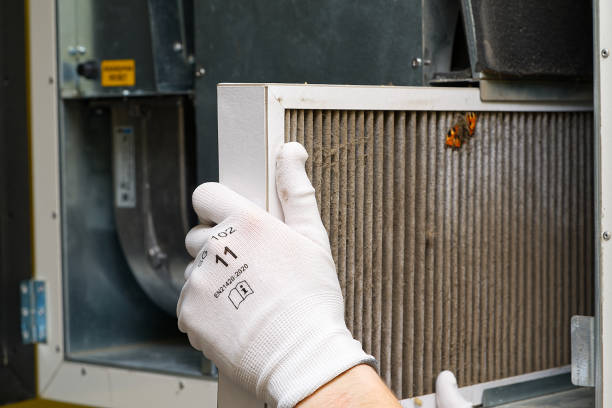 Best Affordable Air Duct Cleaning  in Collinsvle, IL