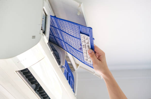 Air Duct Mold Removal in IL