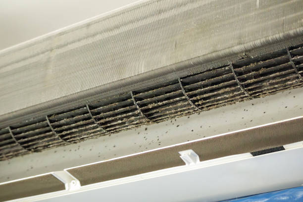 Best HVAC Maintenance and Cleaning  in Collinsvle, IL