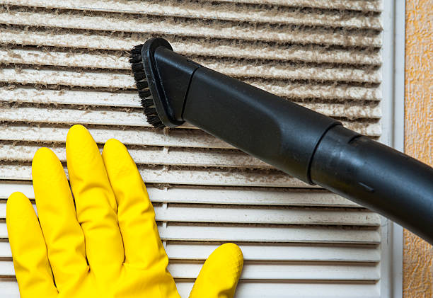 Best Affordable HVAC Duct Cleaning  in Collinsvle, IL